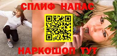 сатива Малгобек