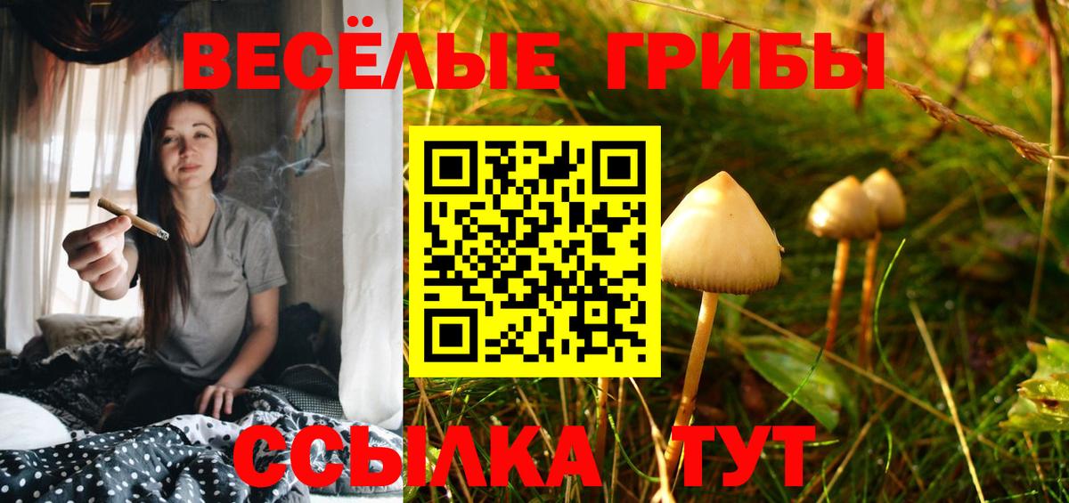 наркотики  Вход с VPN  Горячий Ключ  Псилоцибиновые грибы Cubensis 