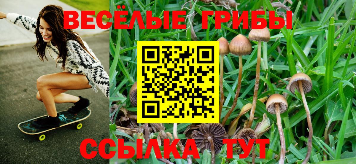 Псилоцибиновые грибы MAGIC MUSHROOMS Горячий Ключ